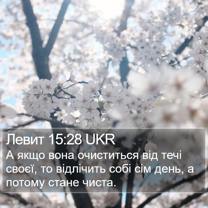 Левит 15:28 UKR Bible Study