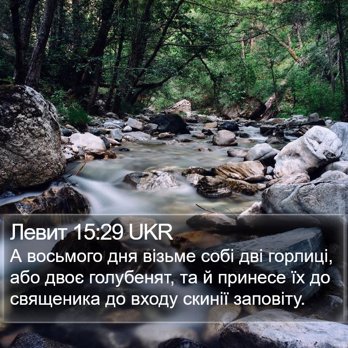 Левит 15:29 UKR Bible Study