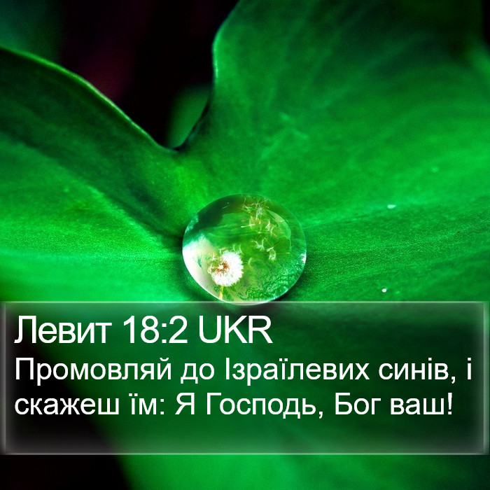 Левит 18:2 UKR Bible Study