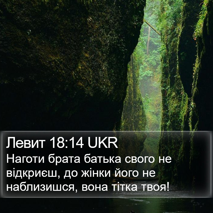 Левит 18:14 UKR Bible Study