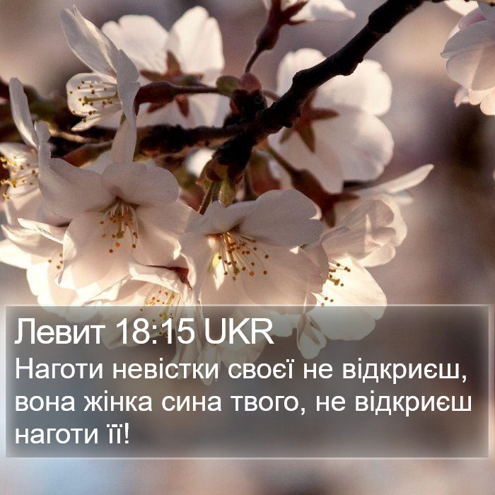 Левит 18:15 UKR Bible Study