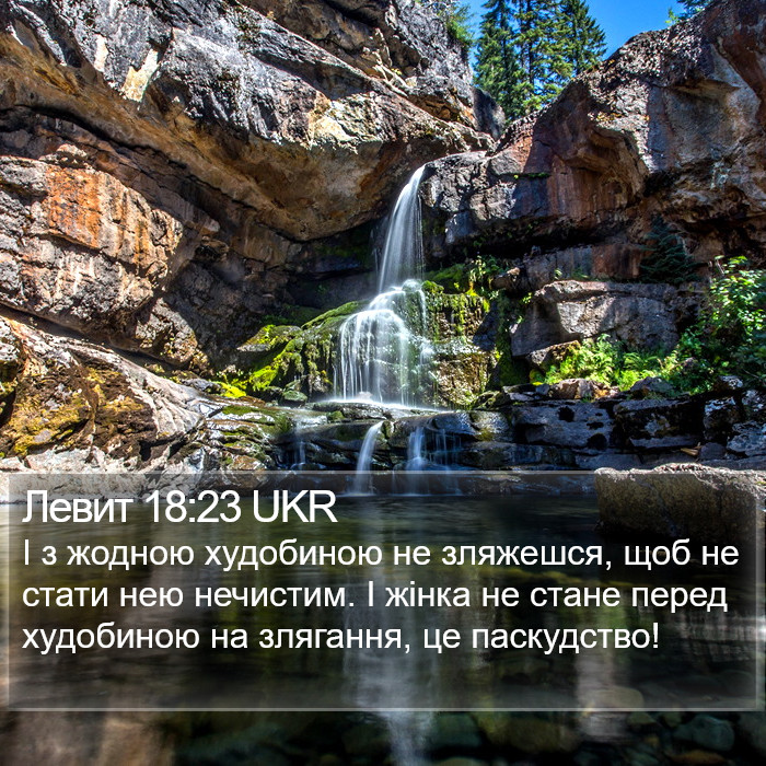 Левит 18:23 UKR Bible Study