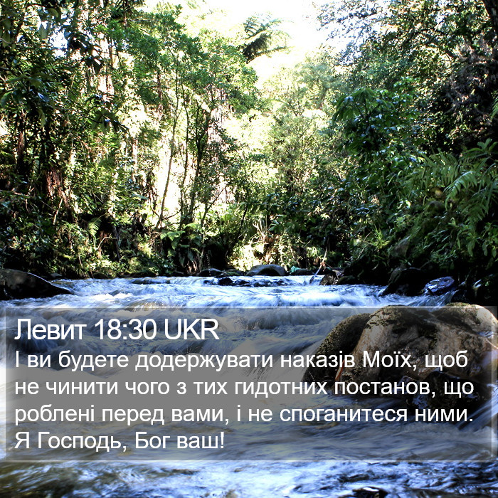 Левит 18:30 UKR Bible Study