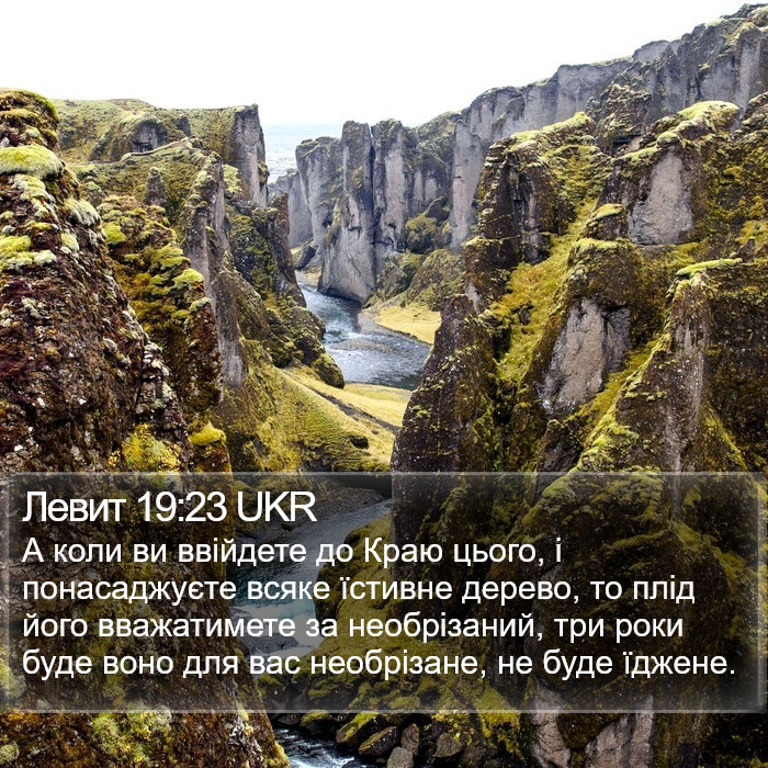 Левит 19:23 UKR Bible Study