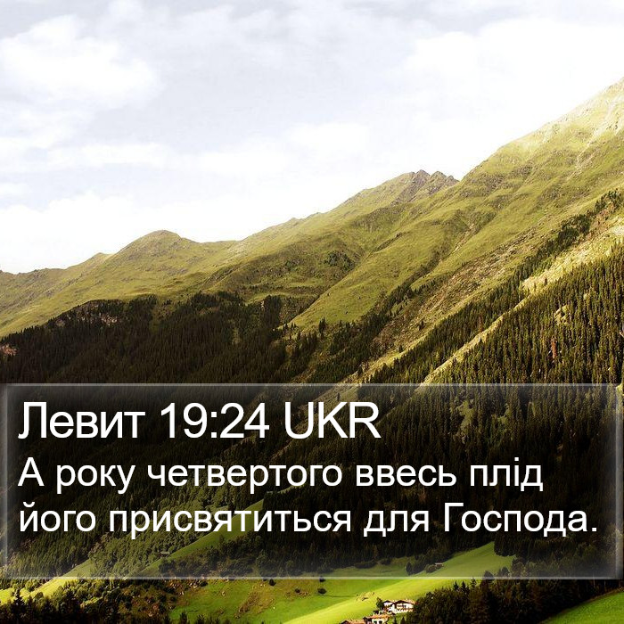 Левит 19:24 UKR Bible Study