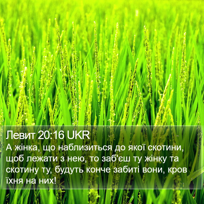 Левит 20:16 UKR Bible Study