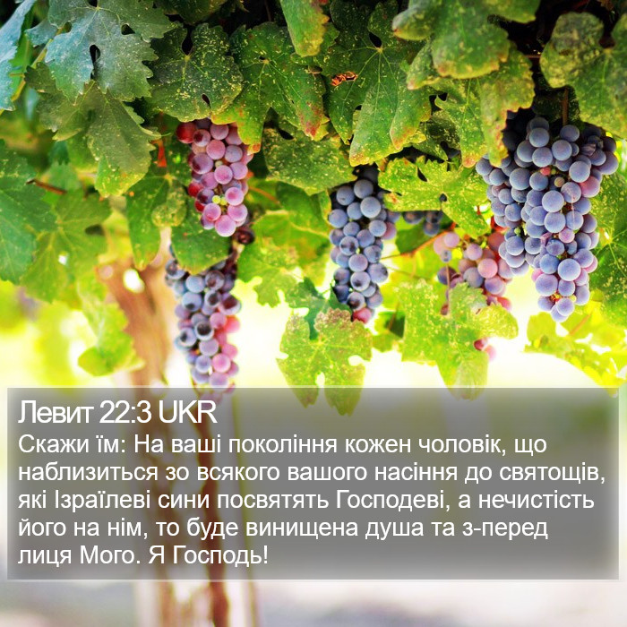 Левит 22:3 UKR Bible Study