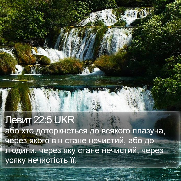 Левит 22:5 UKR Bible Study
