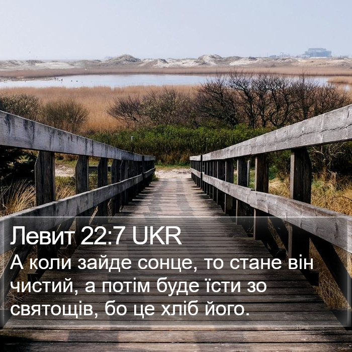 Левит 22:7 UKR Bible Study