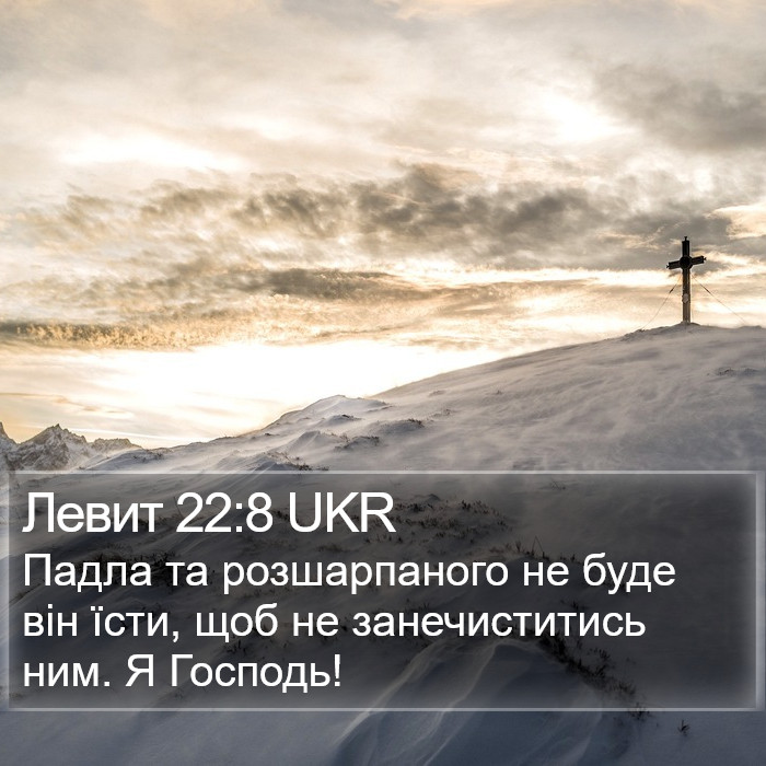Левит 22:8 UKR Bible Study