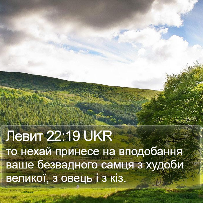 Левит 22:19 UKR Bible Study