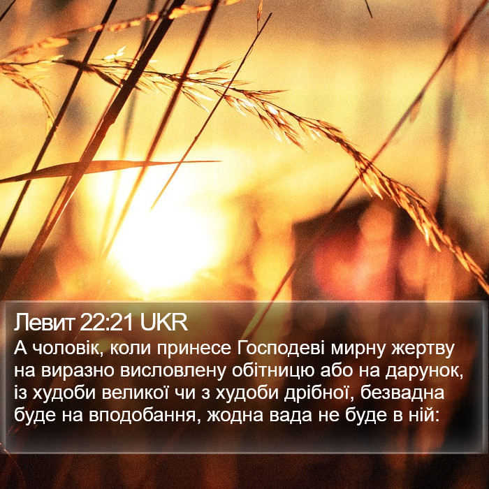 Левит 22:21 UKR Bible Study