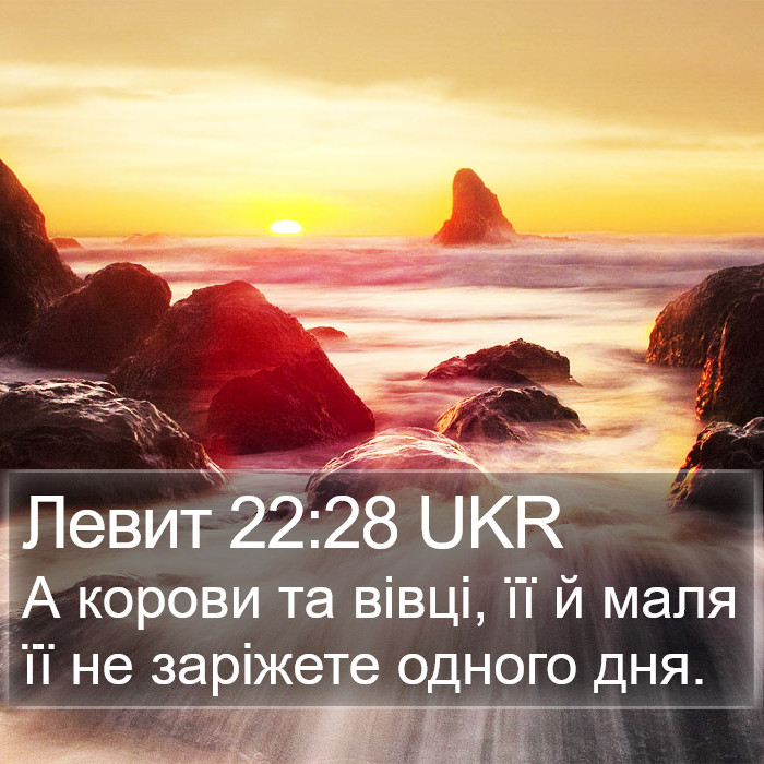 Левит 22:28 UKR Bible Study