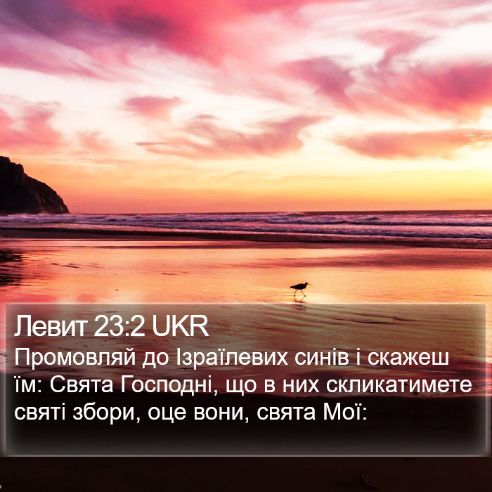 Левит 23:2 UKR Bible Study