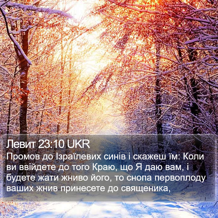 Левит 23:10 UKR Bible Study