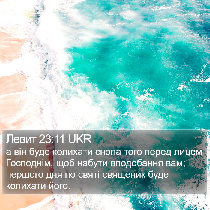 Левит 23:11 UKR Bible Study