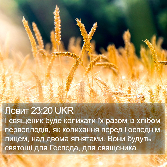 Левит 23:20 UKR Bible Study