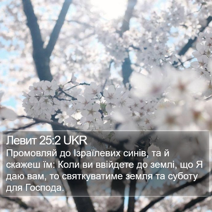 Левит 25:2 UKR Bible Study