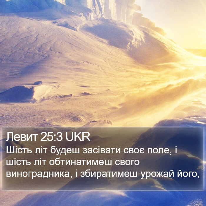 Левит 25:3 UKR Bible Study