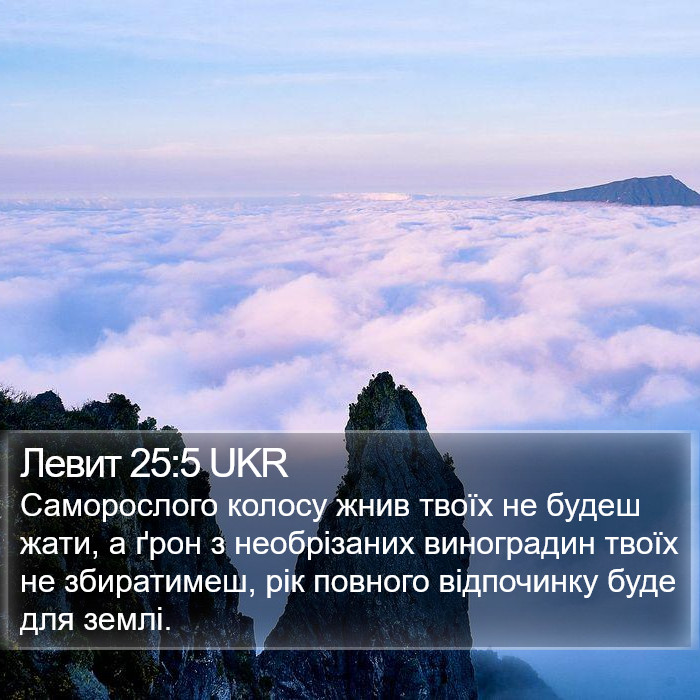 Левит 25:5 UKR Bible Study