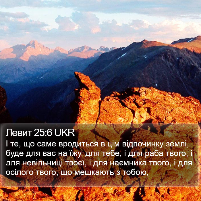 Левит 25:6 UKR Bible Study