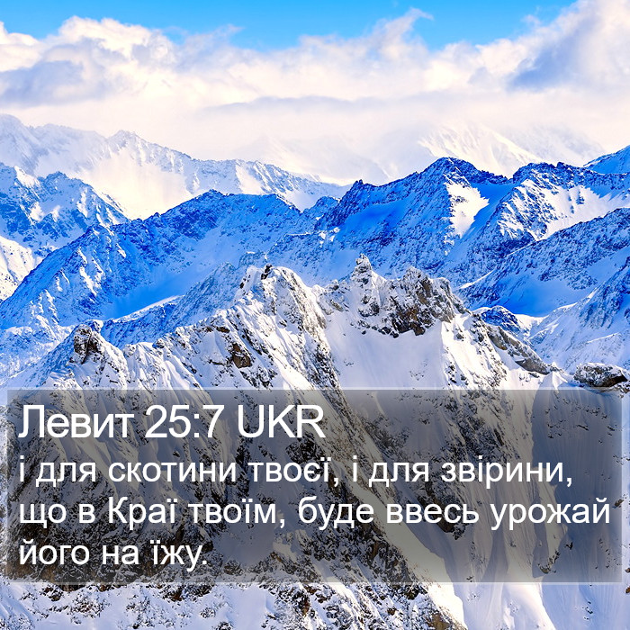 Левит 25:7 UKR Bible Study