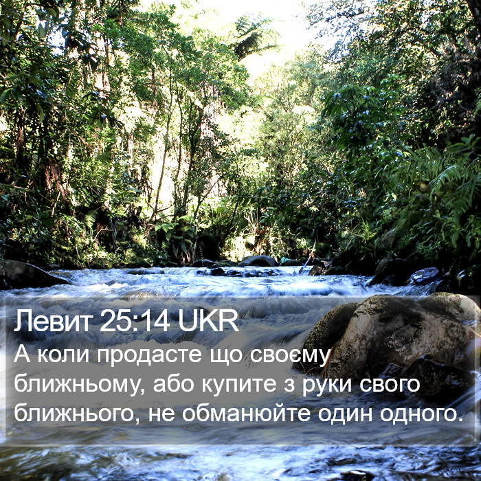 Левит 25:14 UKR Bible Study