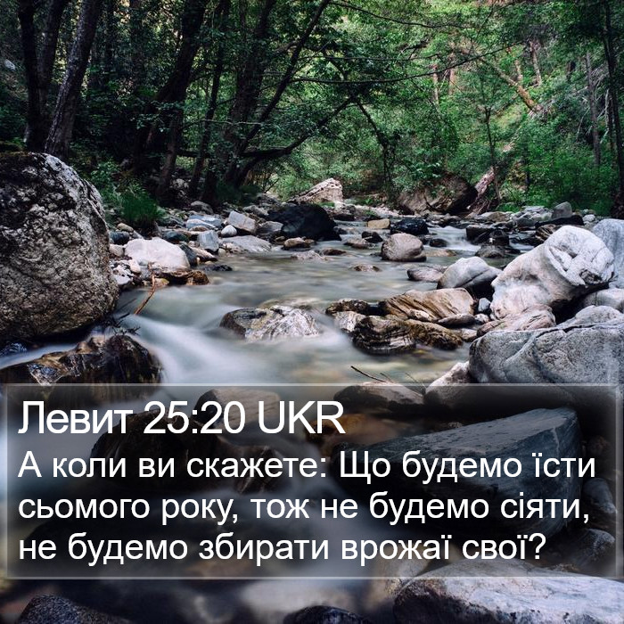 Левит 25:20 UKR Bible Study