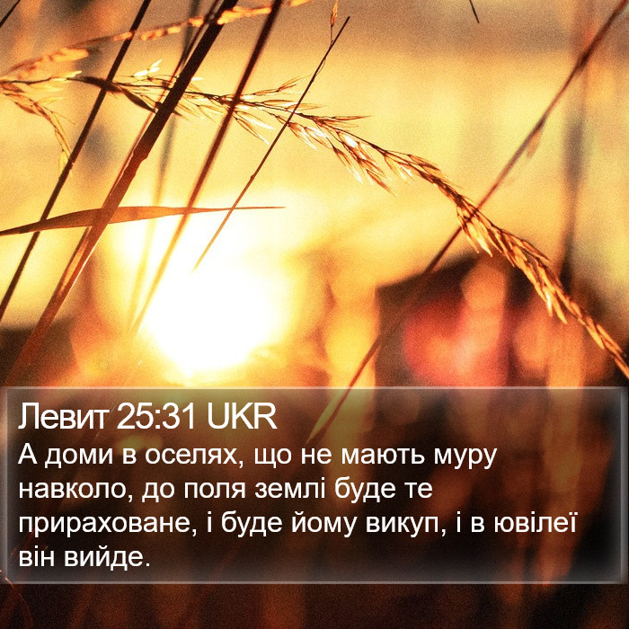 Левит 25:31 UKR Bible Study