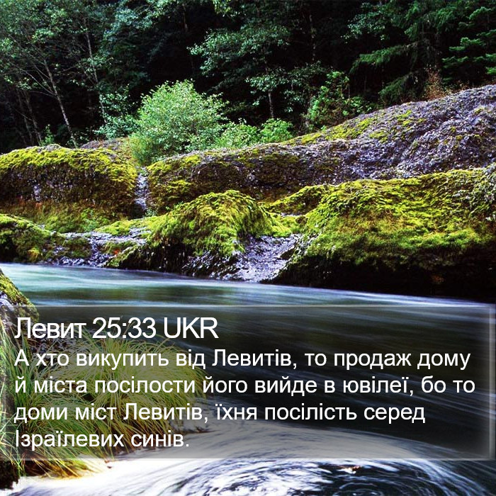 Левит 25:33 UKR Bible Study