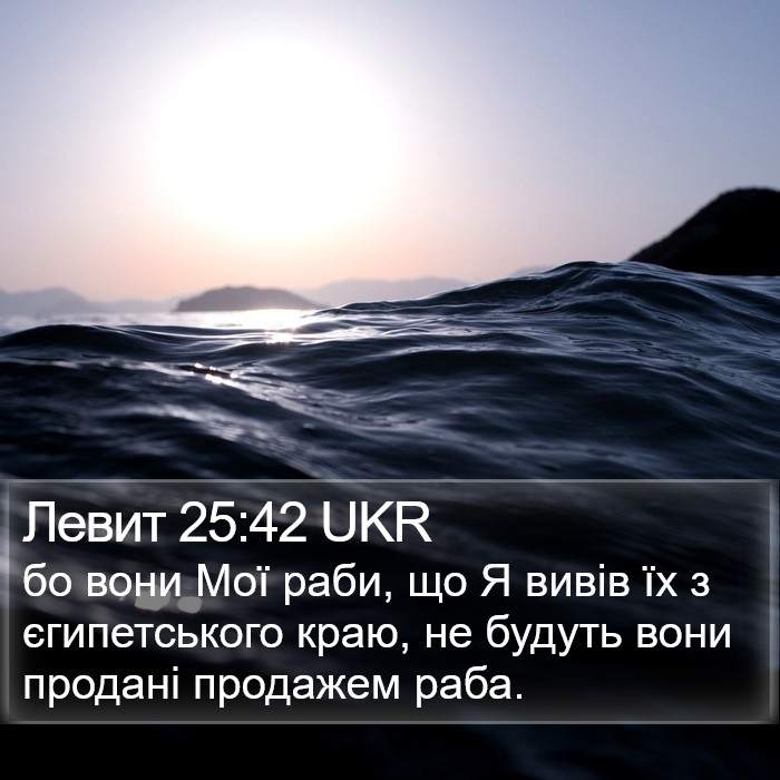 Левит 25:42 UKR Bible Study
