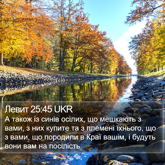 Левит 25:45 UKR Bible Study