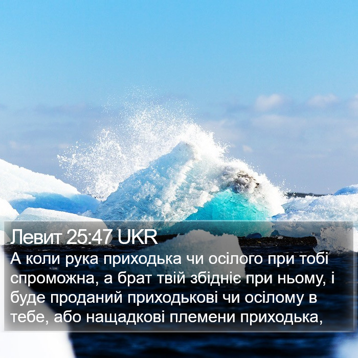 Левит 25:47 UKR Bible Study