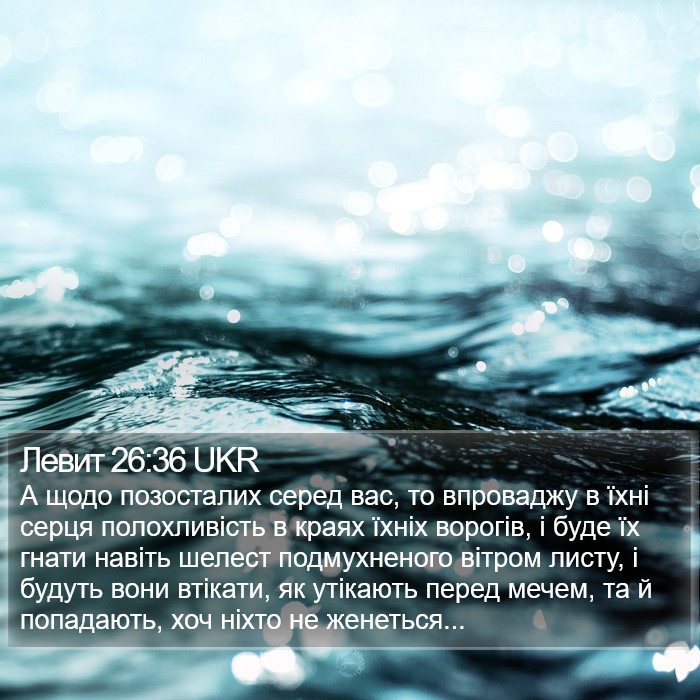 Левит 26:36 UKR Bible Study