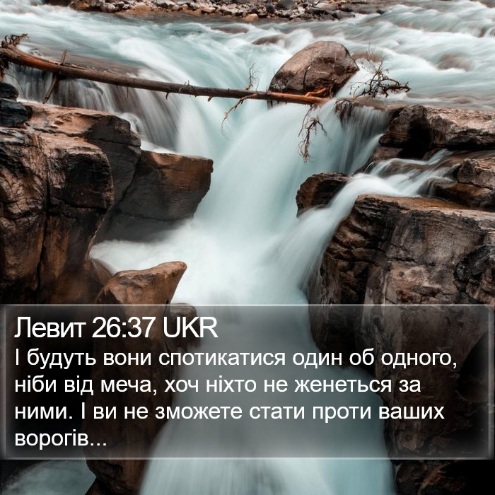 Левит 26:37 UKR Bible Study