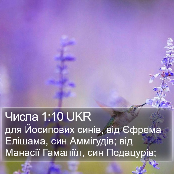 Числа 1:10 UKR Bible Study