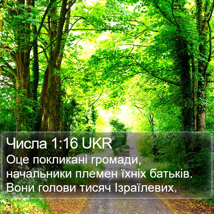 Числа 1:16 UKR Bible Study