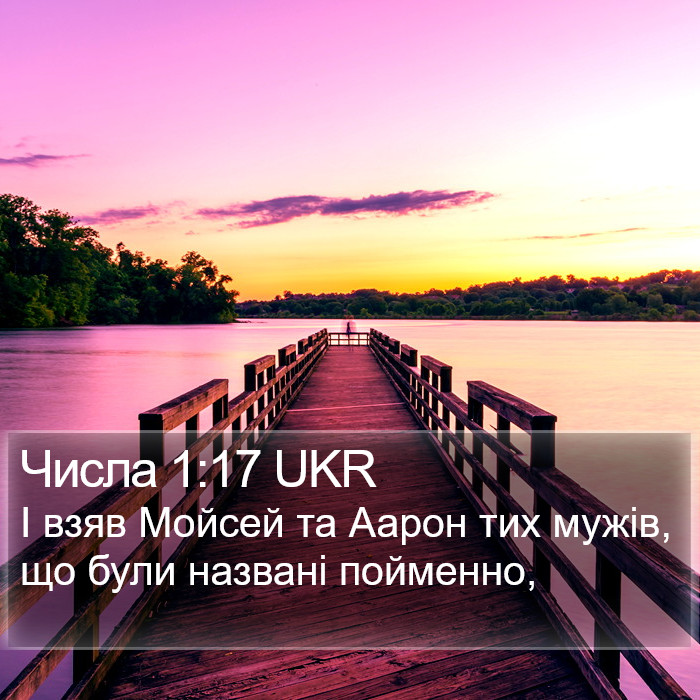 Числа 1:17 UKR Bible Study