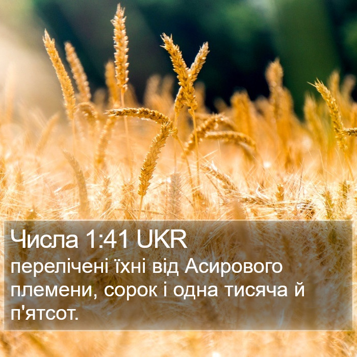 Числа 1:41 UKR Bible Study