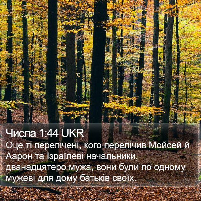 Числа 1:44 UKR Bible Study