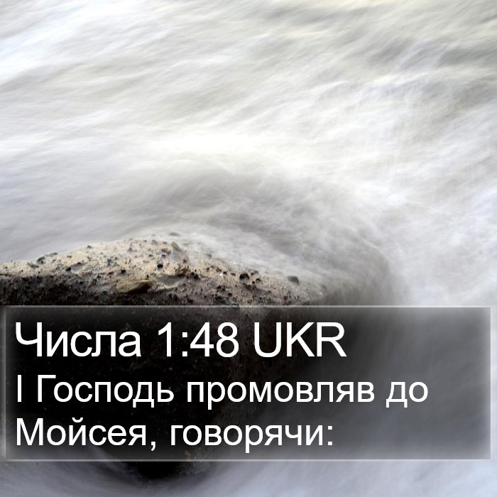 Числа 1:48 UKR Bible Study