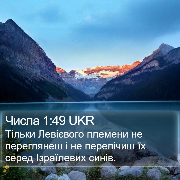 Числа 1:49 UKR Bible Study