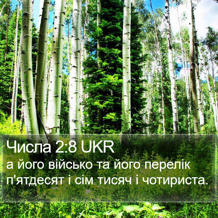 Числа 2:8 UKR Bible Study