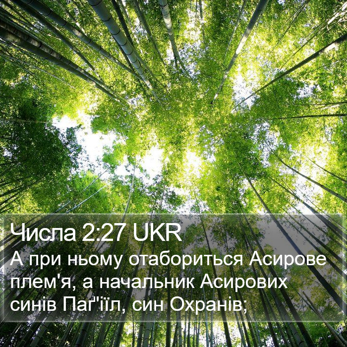 Числа 2:27 UKR Bible Study