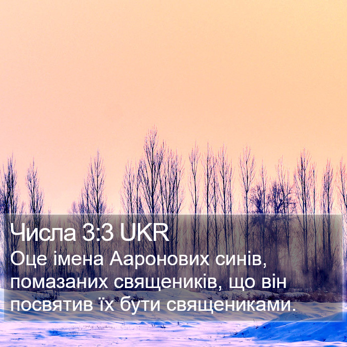 Числа 3:3 UKR Bible Study