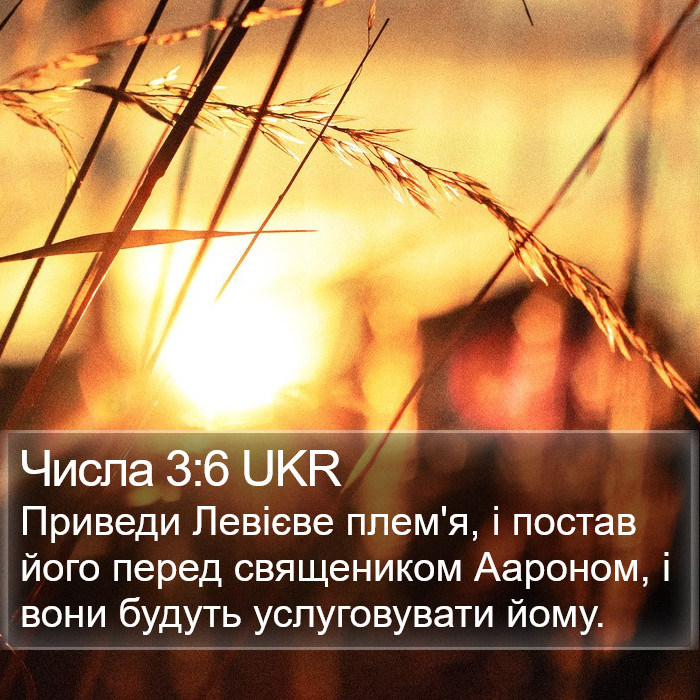 Числа 3:6 UKR Bible Study