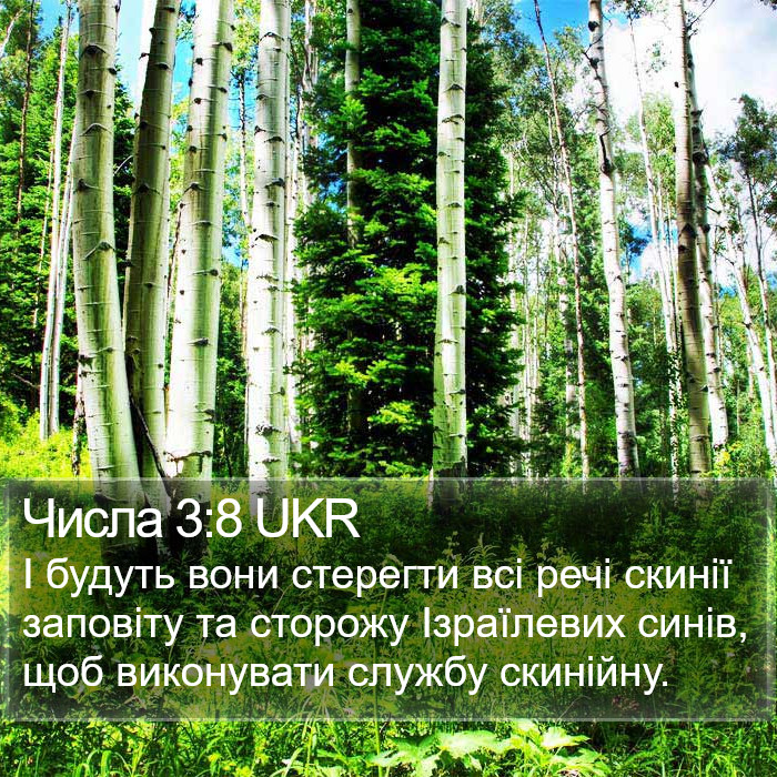 Числа 3:8 UKR Bible Study
