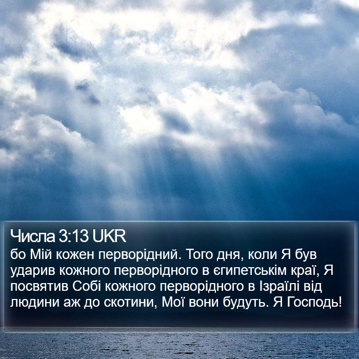 Числа 3:13 UKR Bible Study