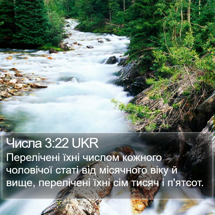Числа 3:22 UKR Bible Study