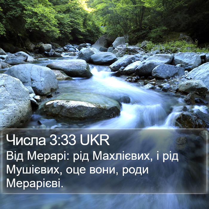 Числа 3:33 UKR Bible Study